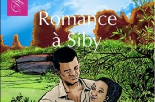 Article : Collection Djarabi : Une journaliste dans la « Romance à Siby »
